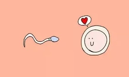 青岛试管婴儿医院推荐 附青岛三代试管婴儿费用