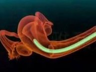 深圳哪家医院有三代试管婴儿？深圳有没有医院可以做三代试管婴儿？