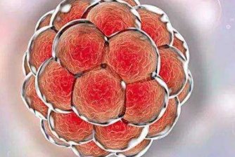 卵巢囊肿怀孕后能消吗？孕期发现卵巢囊肿怎么办？